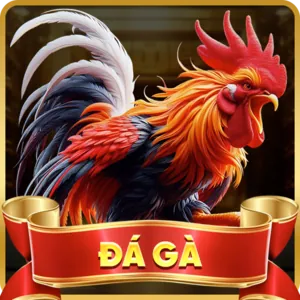 Mã Hóa Dữ Liệu